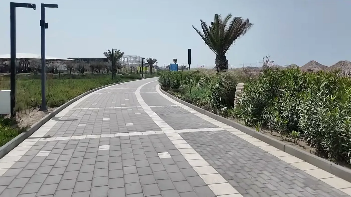 Изогнутая дорожка с фонарями и пальмой — велодорожки и аллеи курорта